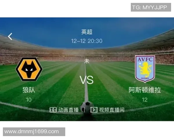 精彩对决直播爱尔兰与威尔士足球赛全程回顾与分析