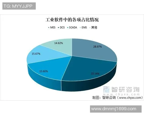 赖斯的崛起与挑战：解析其在国际政治中的影响力与未来发展方向