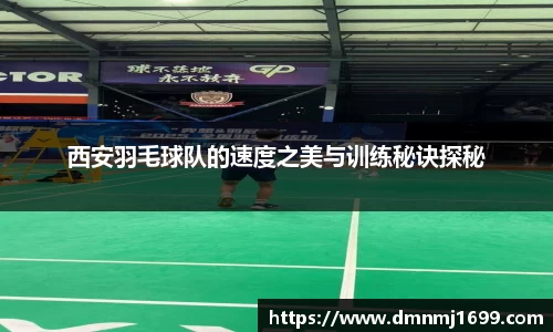JJB竞技宝